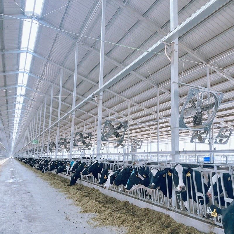 410w Usage Dairy Farm Ventilation Machine